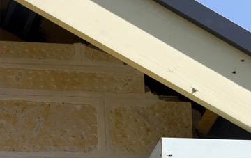 soffit repair Cambuskenneth